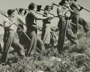 Israel Working Group: Death of the Israeli Left