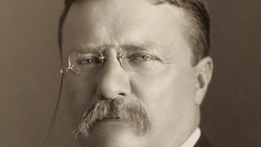 Image for Teddy Roosevelt, “The Strenuous Life”