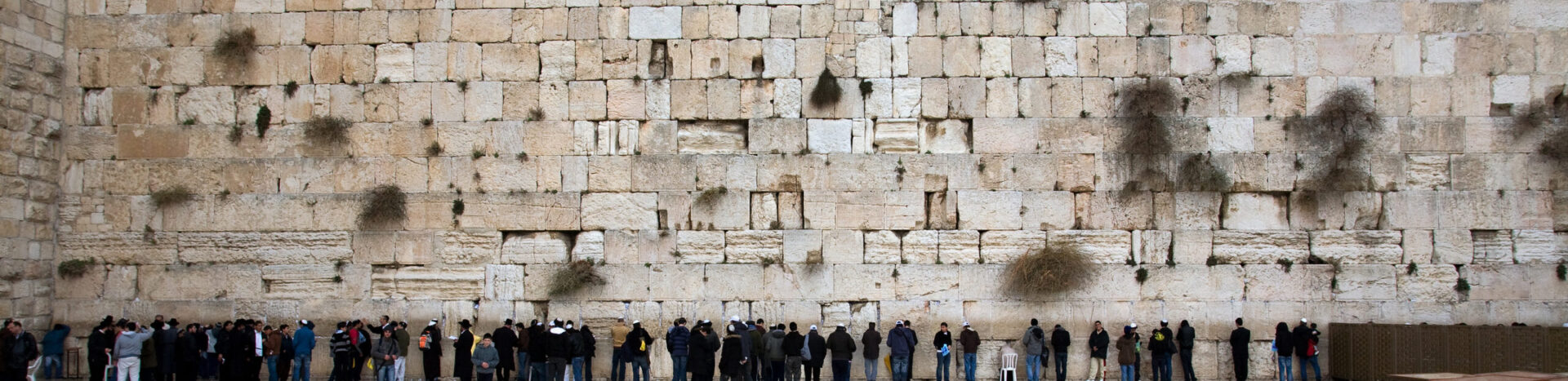 Image for Eric Cohen, “The Spirit of Jewish Conservatism”