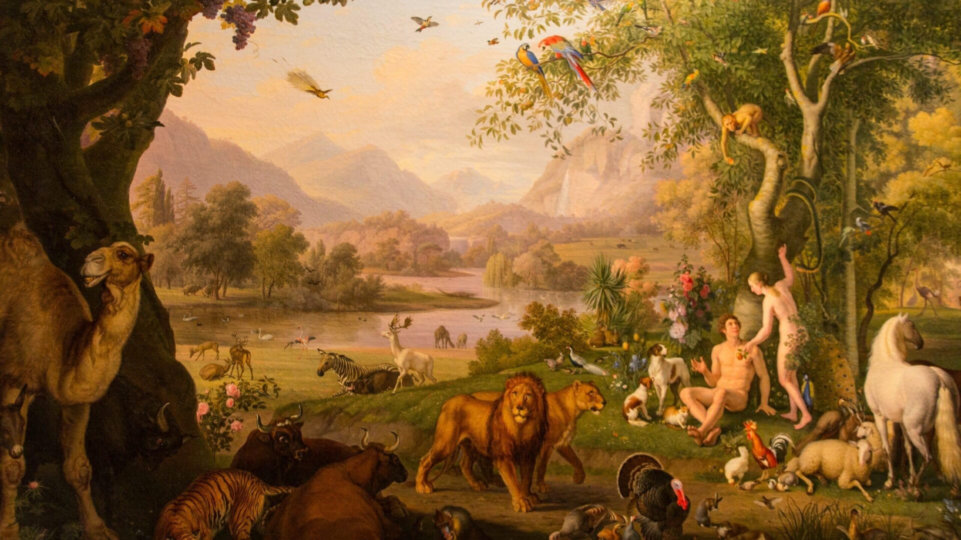 Image for Creation, Peoplehood, Redemption