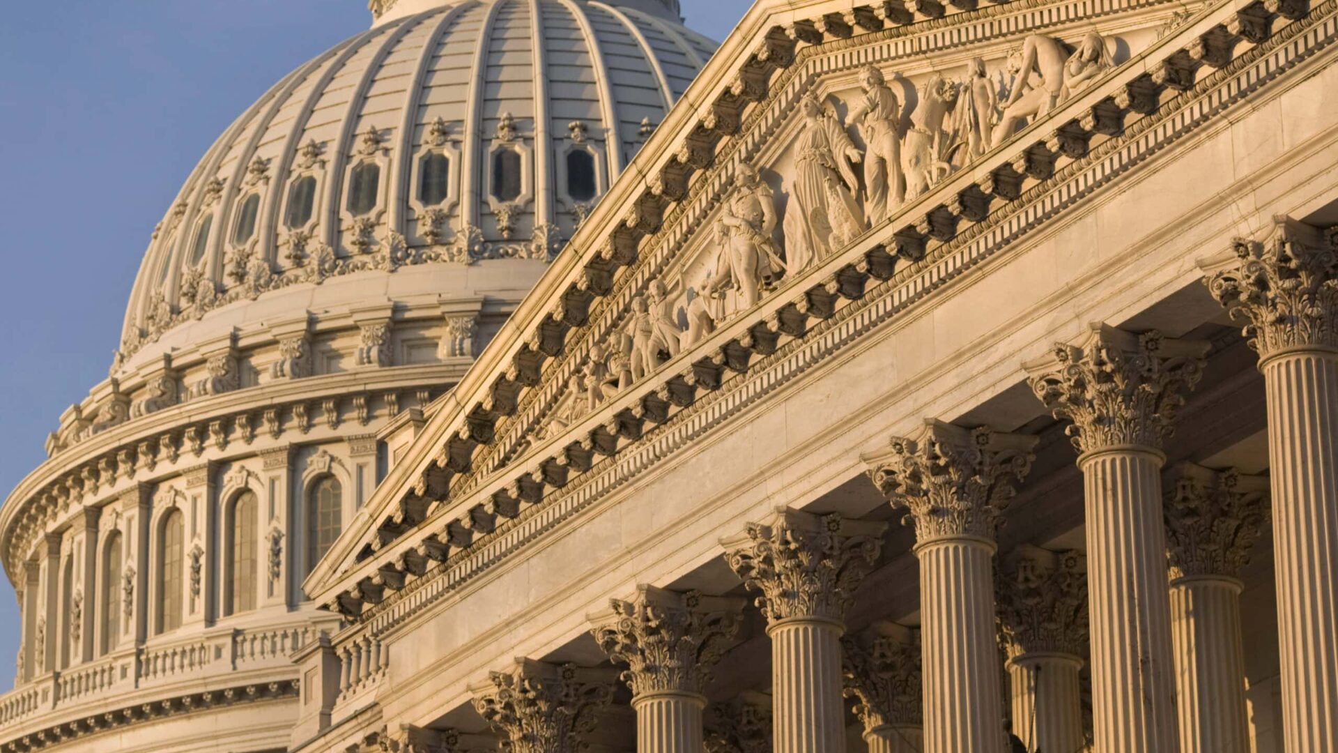 Image for Rule of Law in a Constitutional Democracy