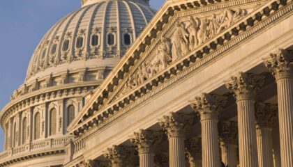 Rule of Law in a Constitutional Democracy