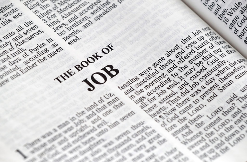 What Is the Book of Job Doing in the Bible?