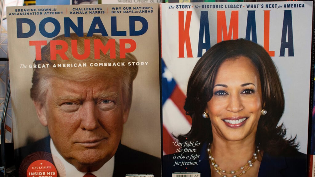 Image for Jews and Elections