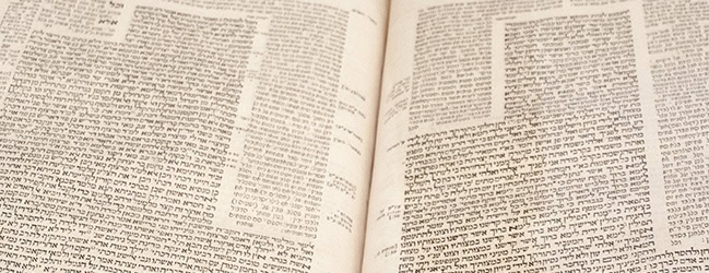 <em>Halakha: The Rabbinic Idea of Law</em> by Chaim Saiman