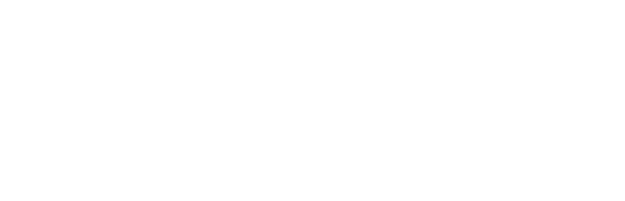 Newport Fellowship