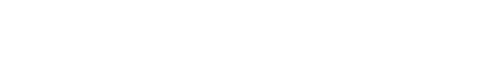 Solomon Journal