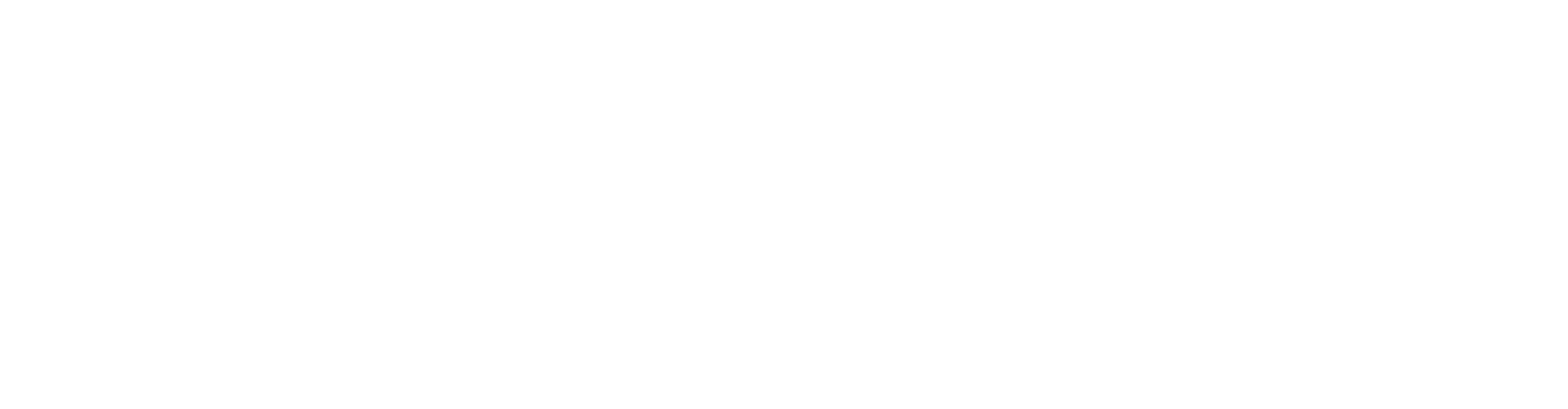 Tikvah Academic Fellowship TEST